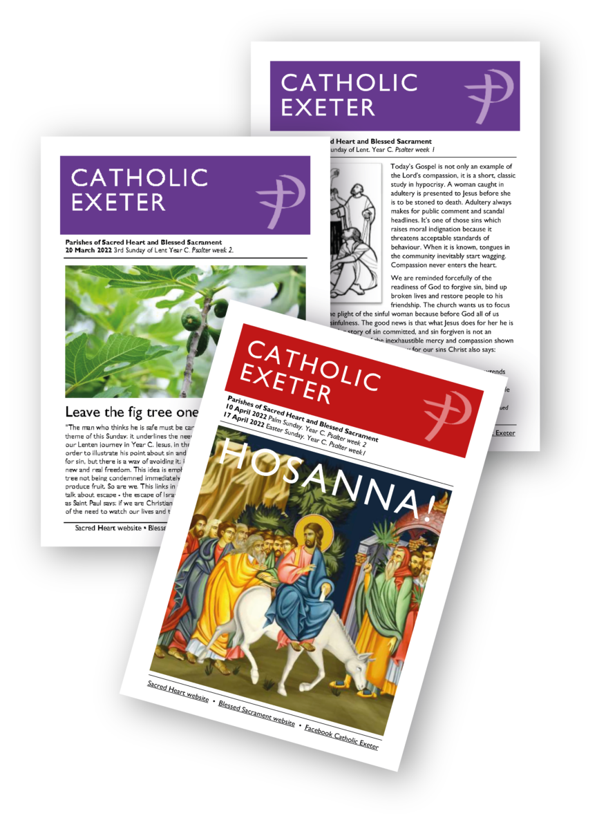 CEN website image Blessed Sacrament Newsletter