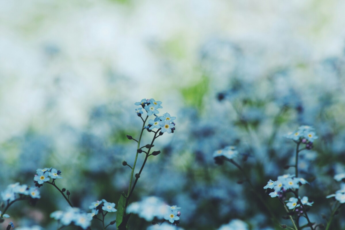 noah-silliman-_k9dCeh5Ca0-unsplash